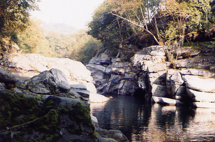 torrente cervo